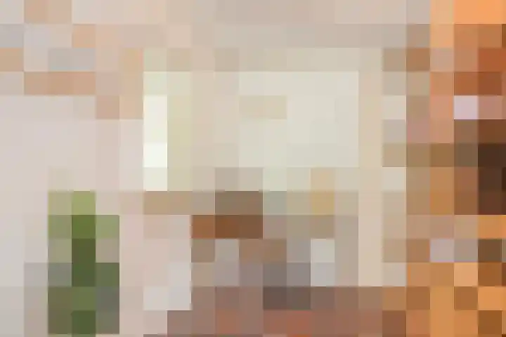 Haarboerhorst 13 Enschede thumbnail 15