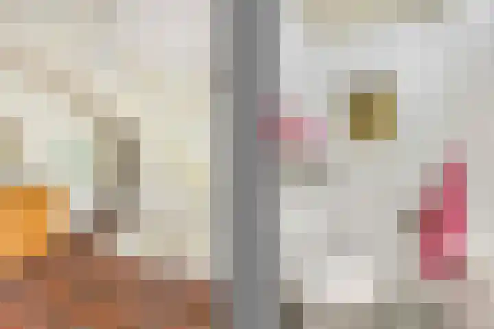 Haarboerhorst 13 Enschede thumbnail 16