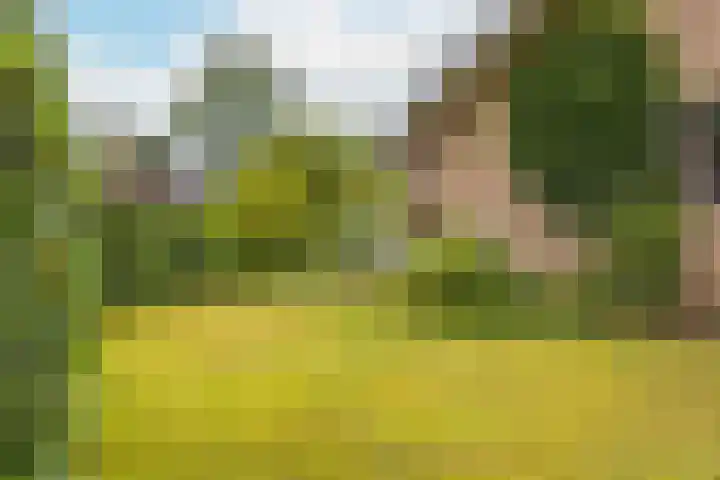 Haarboerhorst 13 Enschede thumbnail 23