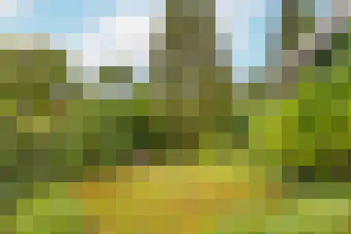 Haarboerhorst 13 Enschede thumbnail 24