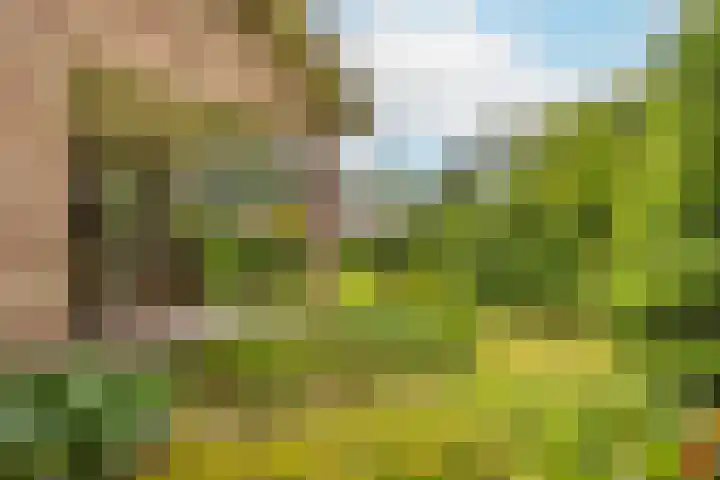 Haarboerhorst 13 Enschede thumbnail 25