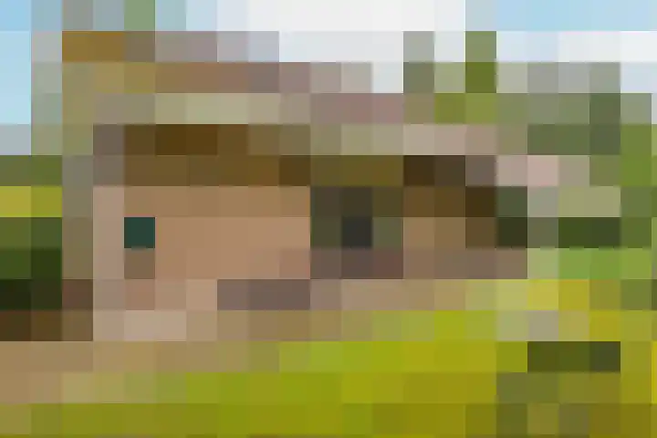 Haarboerhorst 13 Enschede thumbnail 27