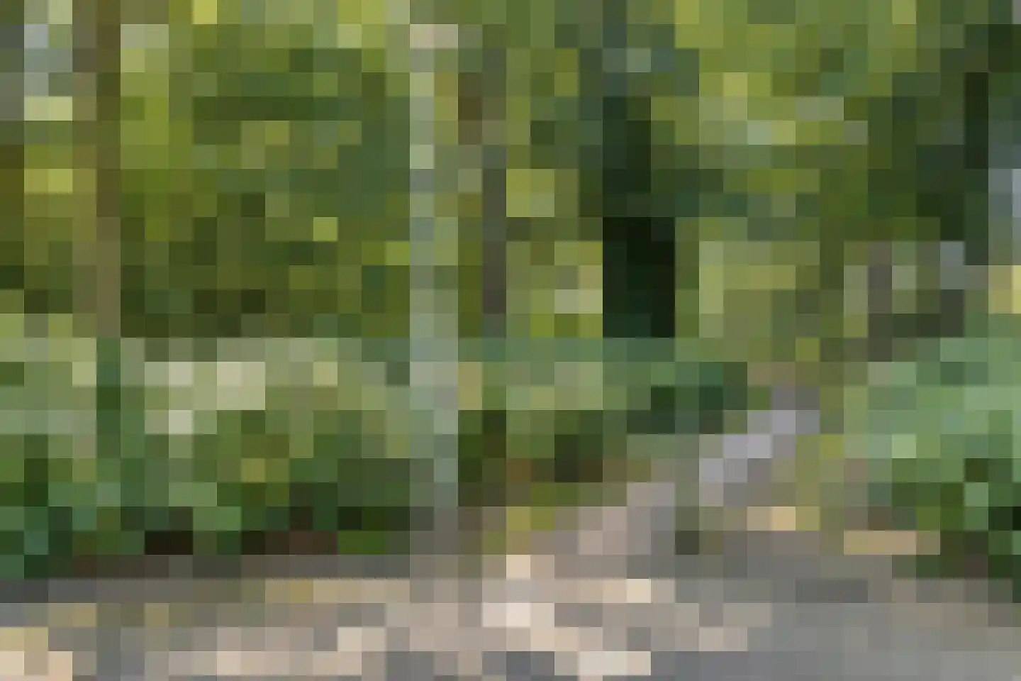 Haarboerhorst 34 Enschede thumbnail 31