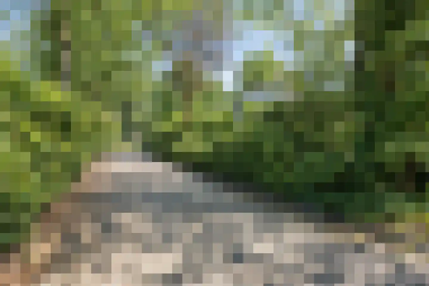 Haarboerhorst 34 Enschede thumbnail 32