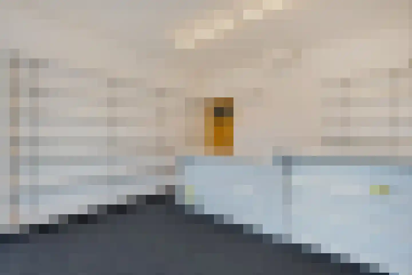 Haarbrinksweg 128 Harbrinkhoek thumbnail 15