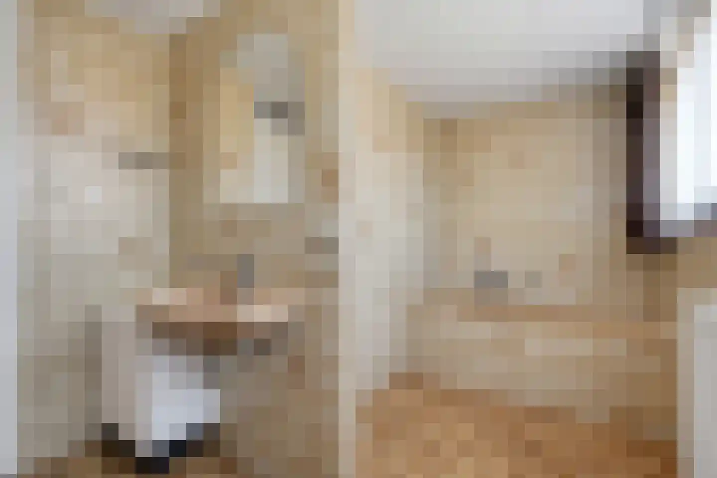 Haarbrinksweg 128 Harbrinkhoek thumbnail 21