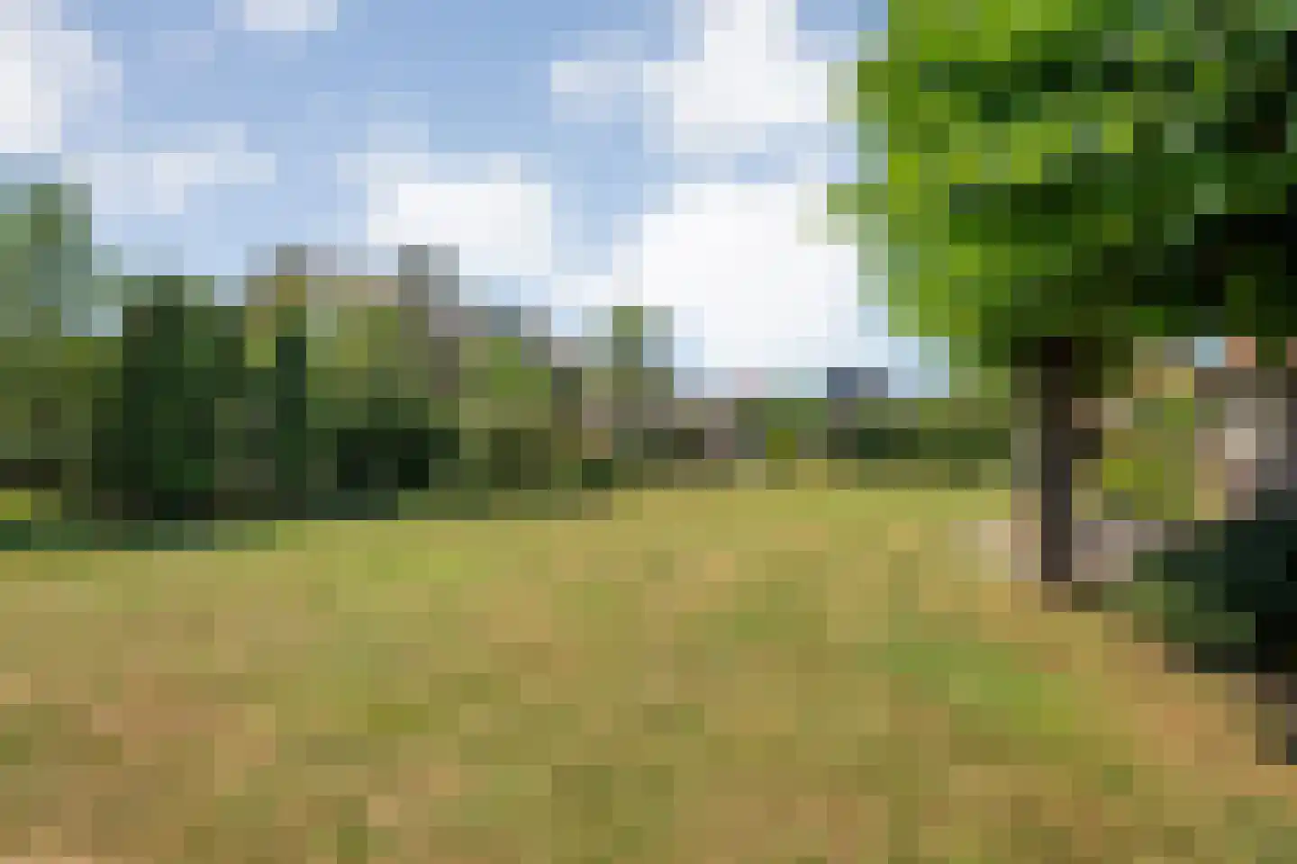 Haarbrinksweg 128 Harbrinkhoek thumbnail 27