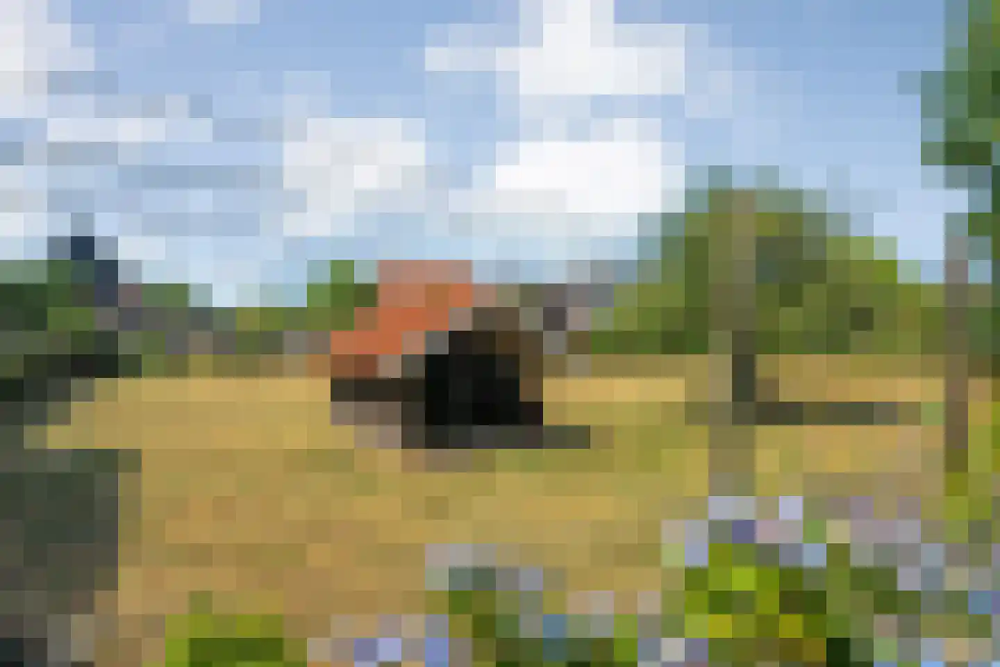 Haarbrinksweg 128 Harbrinkhoek thumbnail 30