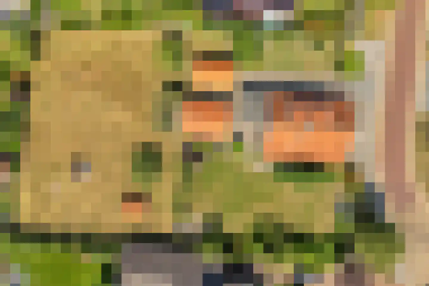 Haarbrinksweg 128 Harbrinkhoek thumbnail 34