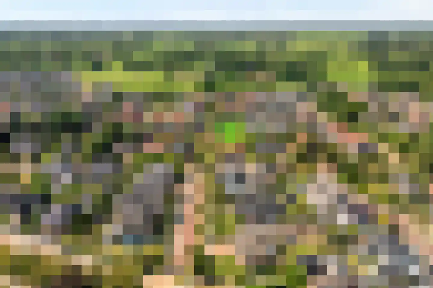 Haarbrinksweg 128 Harbrinkhoek thumbnail 35