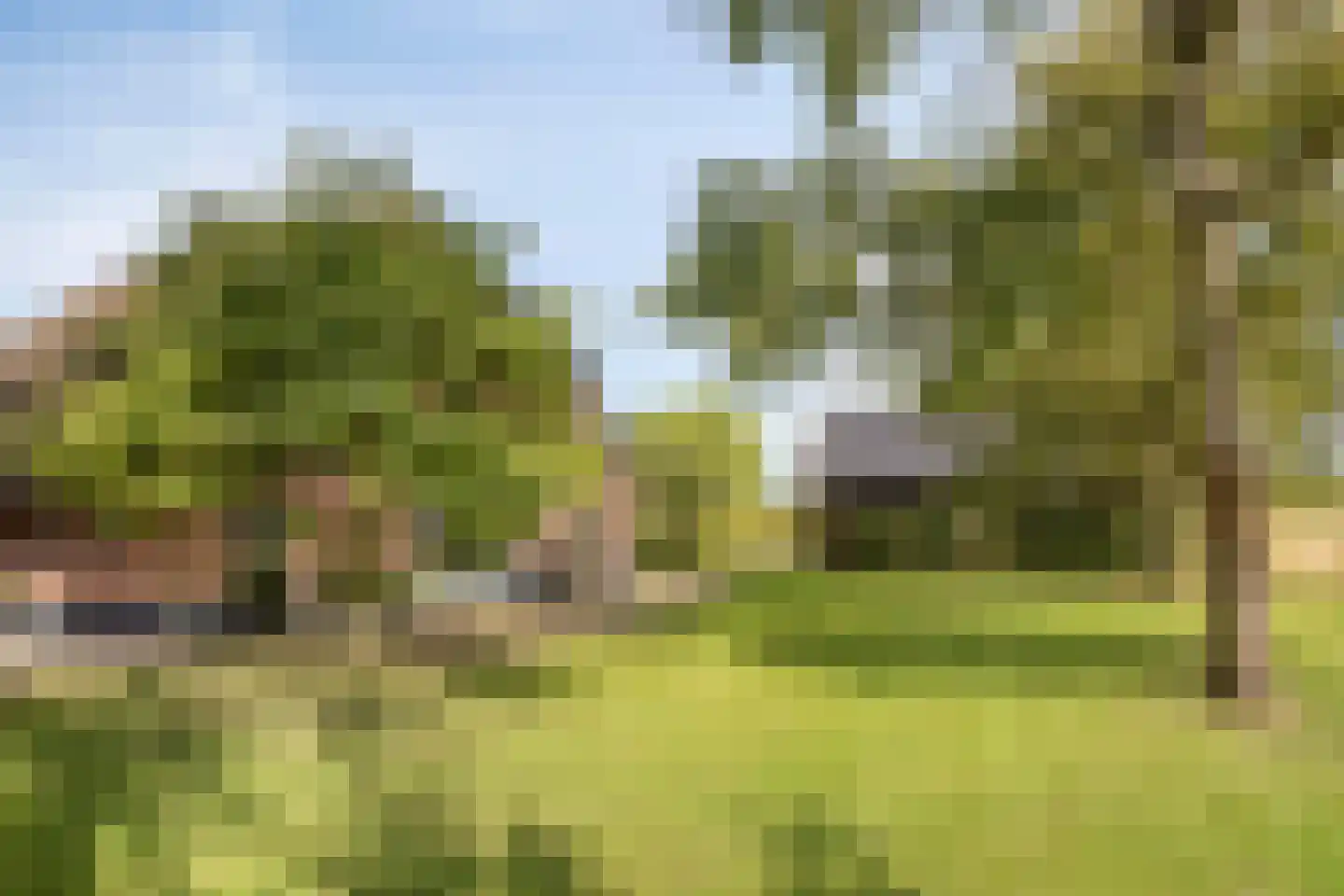 Haarbroeksteeg 6 Harfsen thumbnail 10