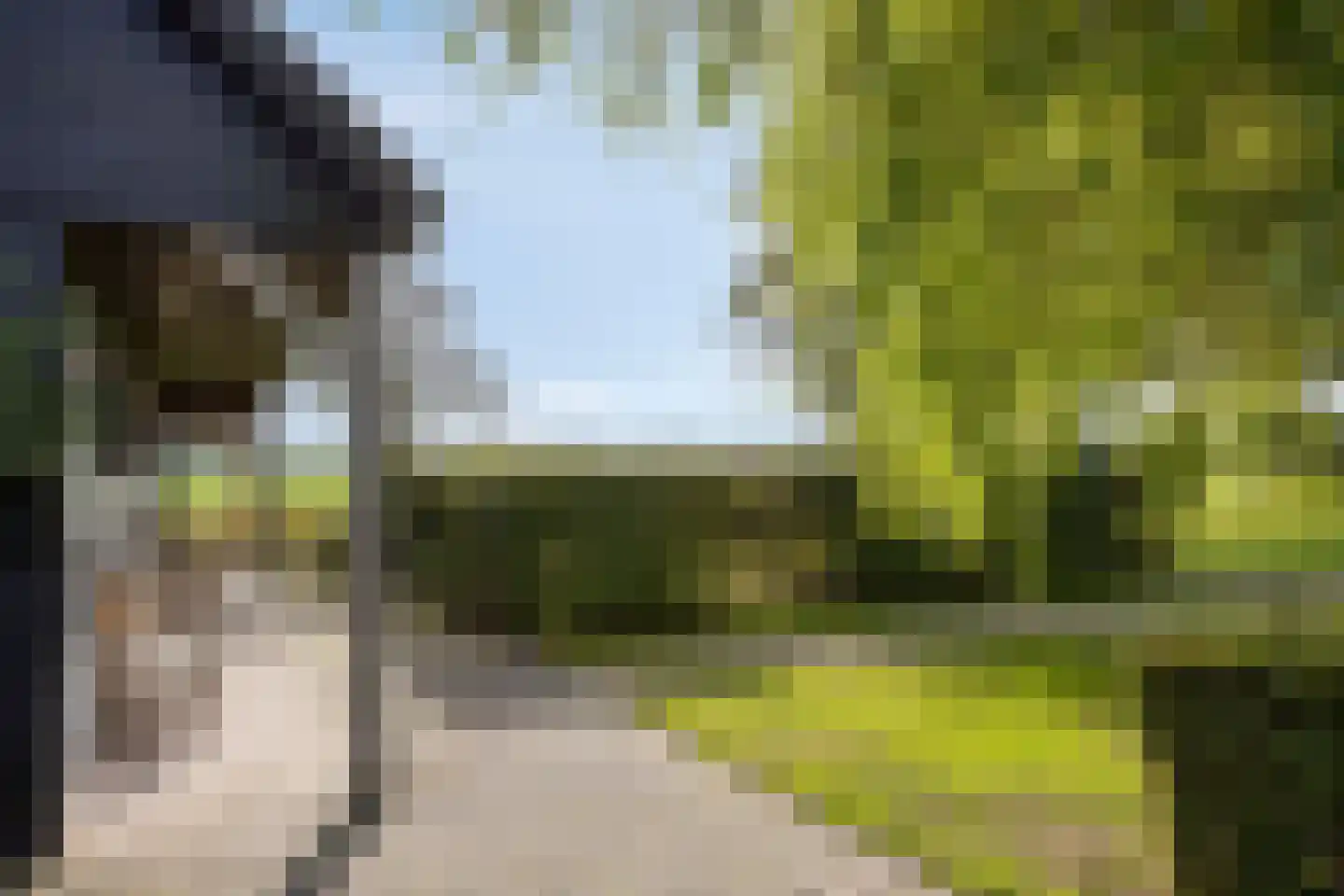 Haarbroeksteeg 6 Harfsen thumbnail 11