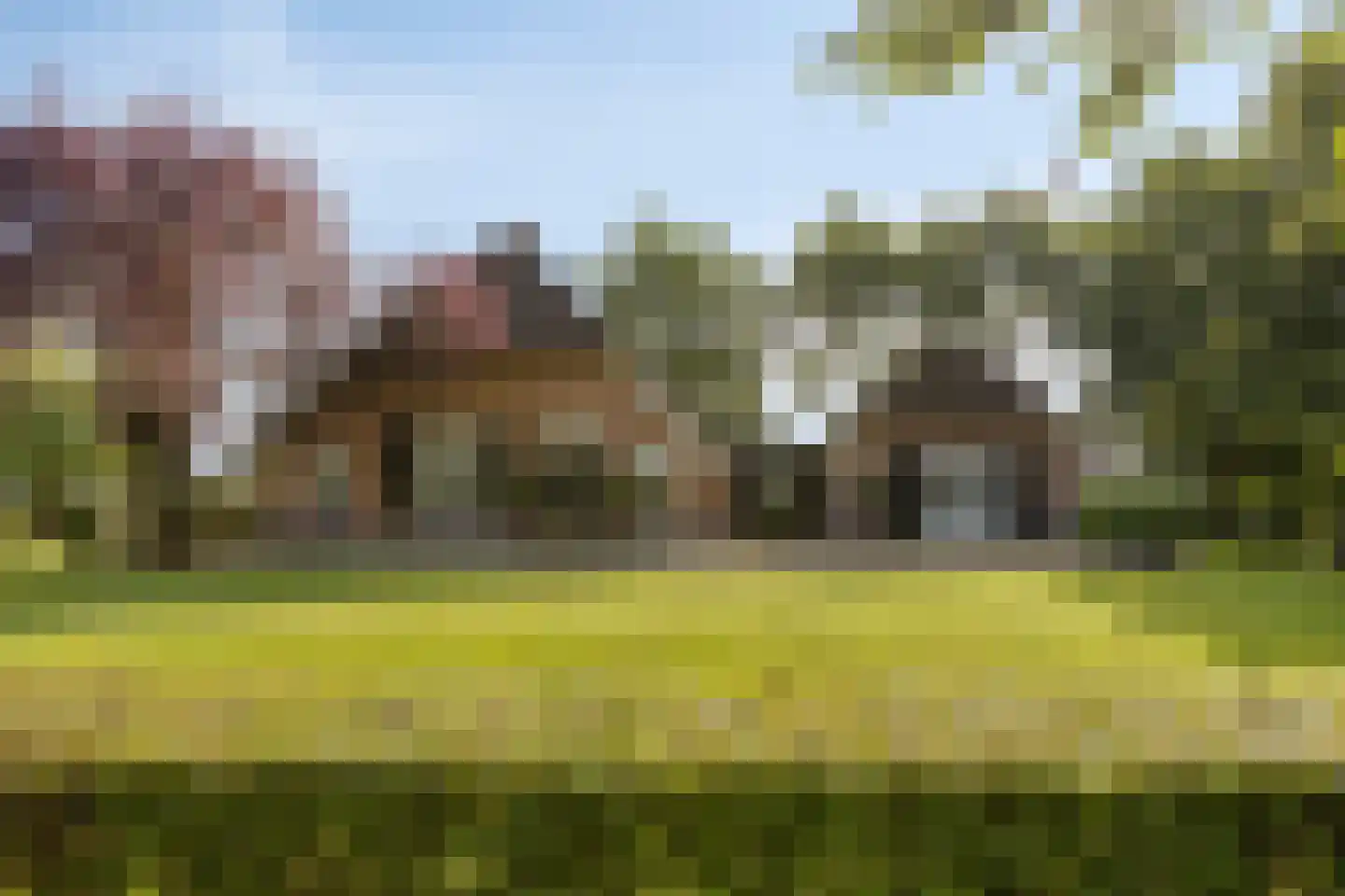 Haarbroeksteeg 6 Harfsen thumbnail 13