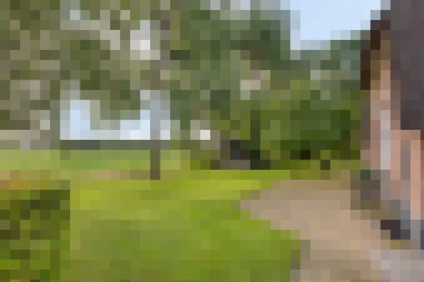 Haarbroeksteeg 6 Harfsen thumbnail 15