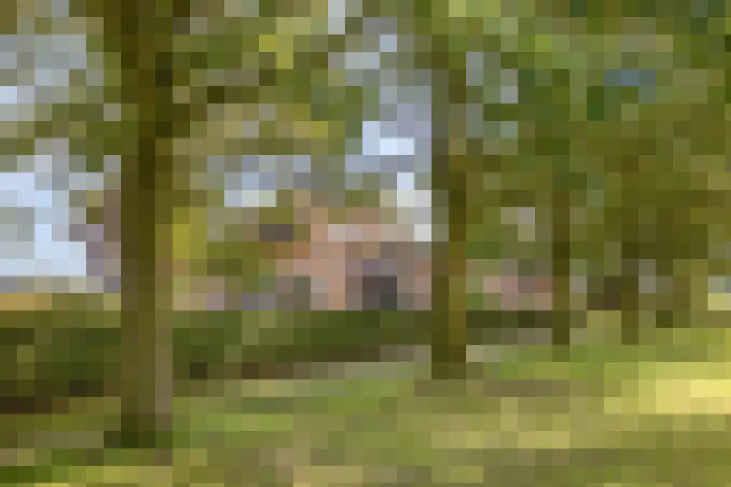 Haarbroeksteeg 6 Harfsen thumbnail 17