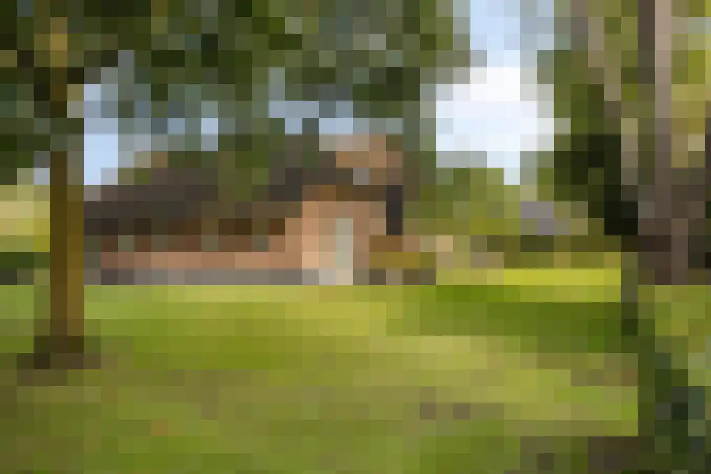 Haarbroeksteeg 6 Harfsen thumbnail 18