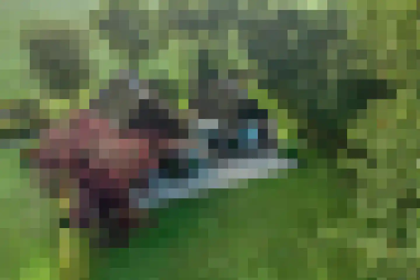 Haarbroeksteeg 6 Harfsen thumbnail 27