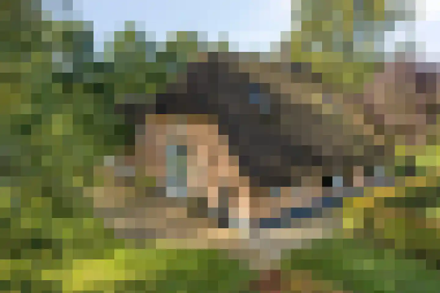 Haarbroeksteeg 6 Harfsen thumbnail 28