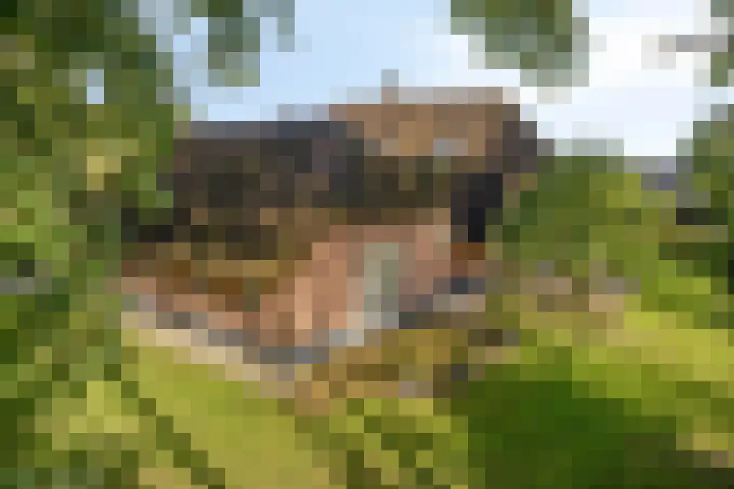Haarbroeksteeg 6 Harfsen thumbnail 29