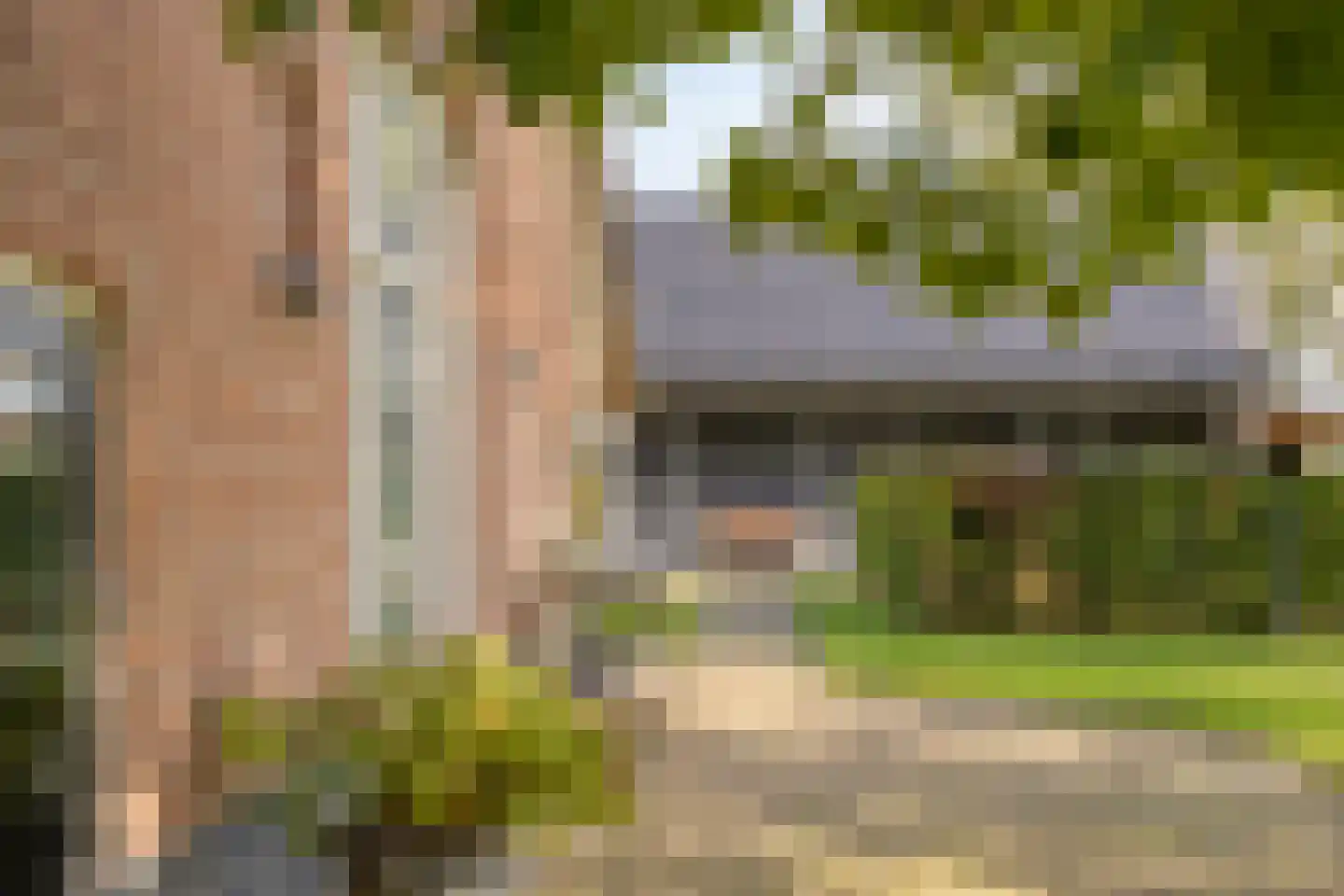 Haarbroeksteeg 6 Harfsen foto 3