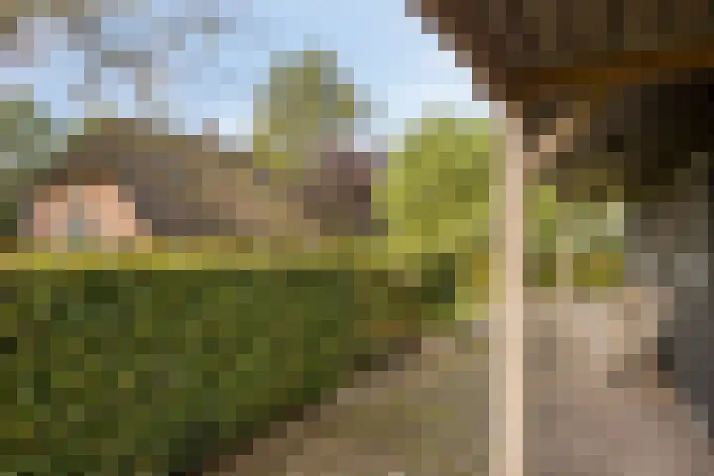 Haarbroeksteeg 6 Harfsen thumbnail 30