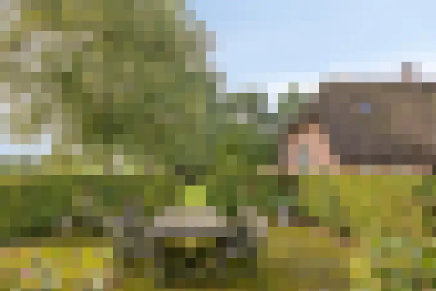 Haarbroeksteeg 6 Harfsen thumbnail 32