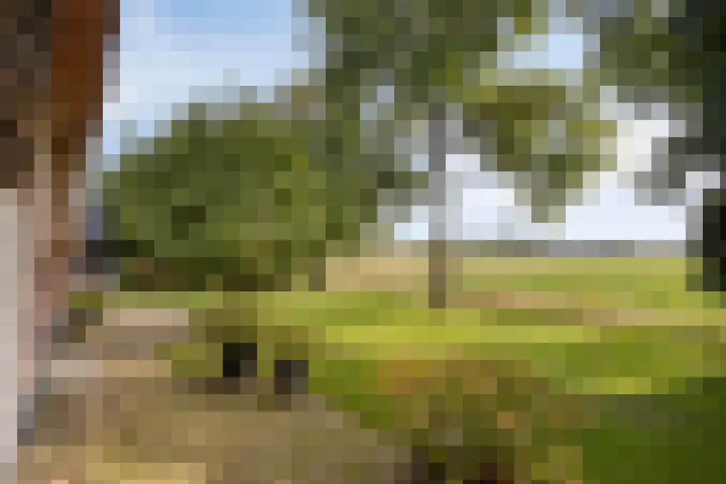 Haarbroeksteeg 6 Harfsen thumbnail 34