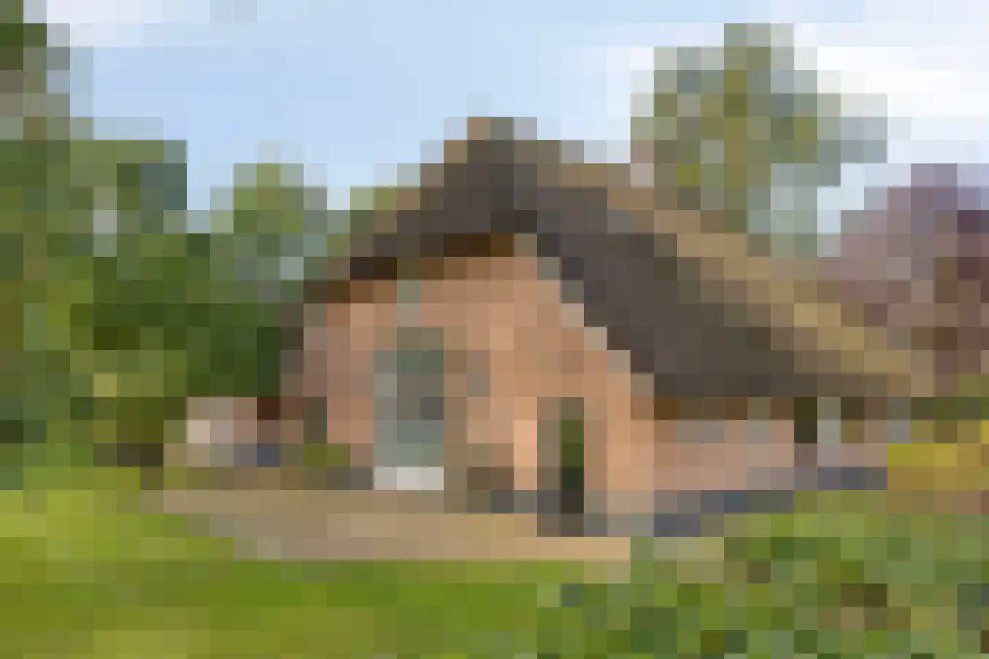 Haarbroeksteeg 6 Harfsen thumbnail 35