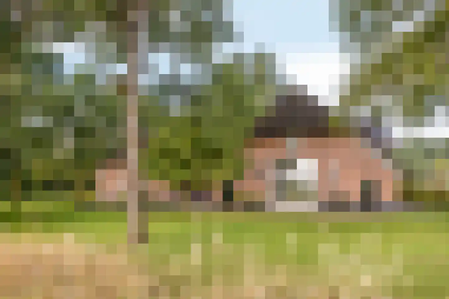 Haarbroeksteeg 6 Harfsen thumbnail 36