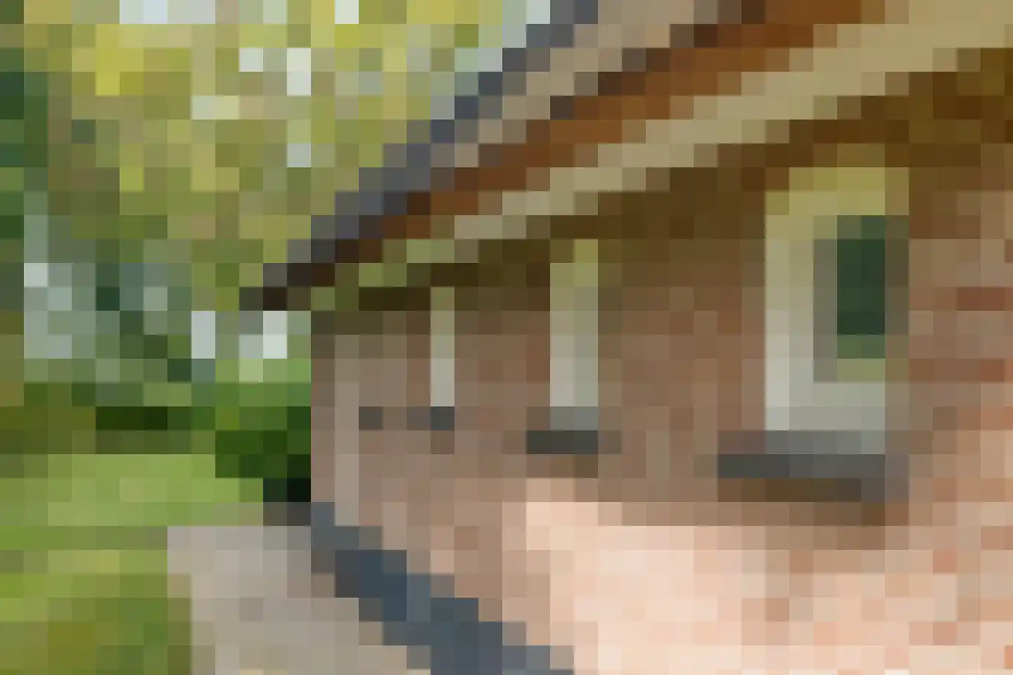 Haarbroeksteeg 6 Harfsen thumbnail 37