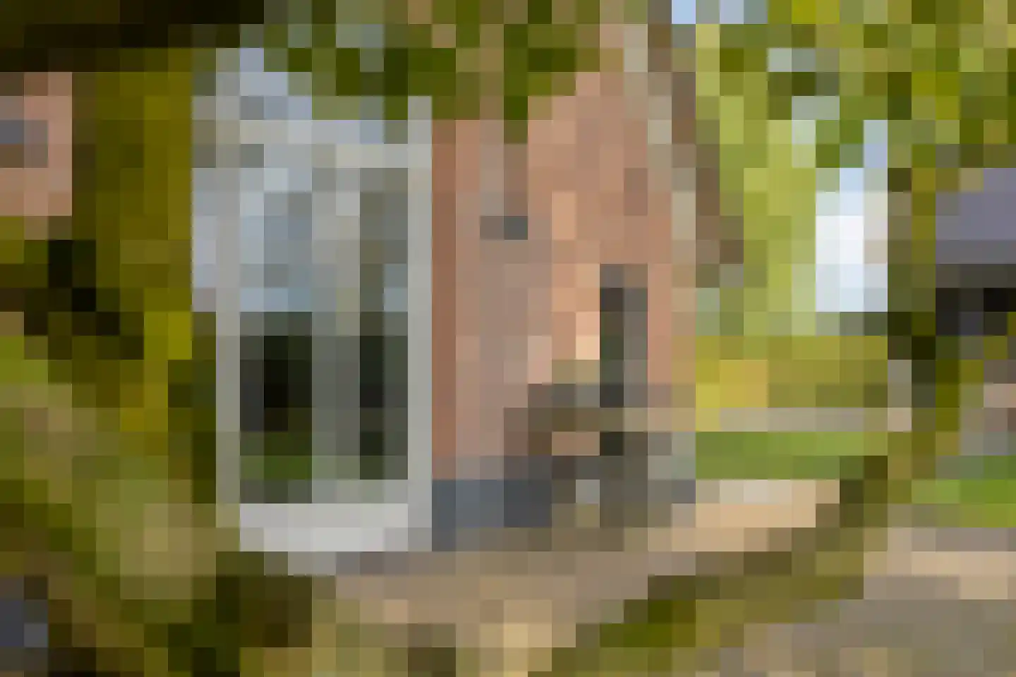 Haarbroeksteeg 6 Harfsen thumbnail 38