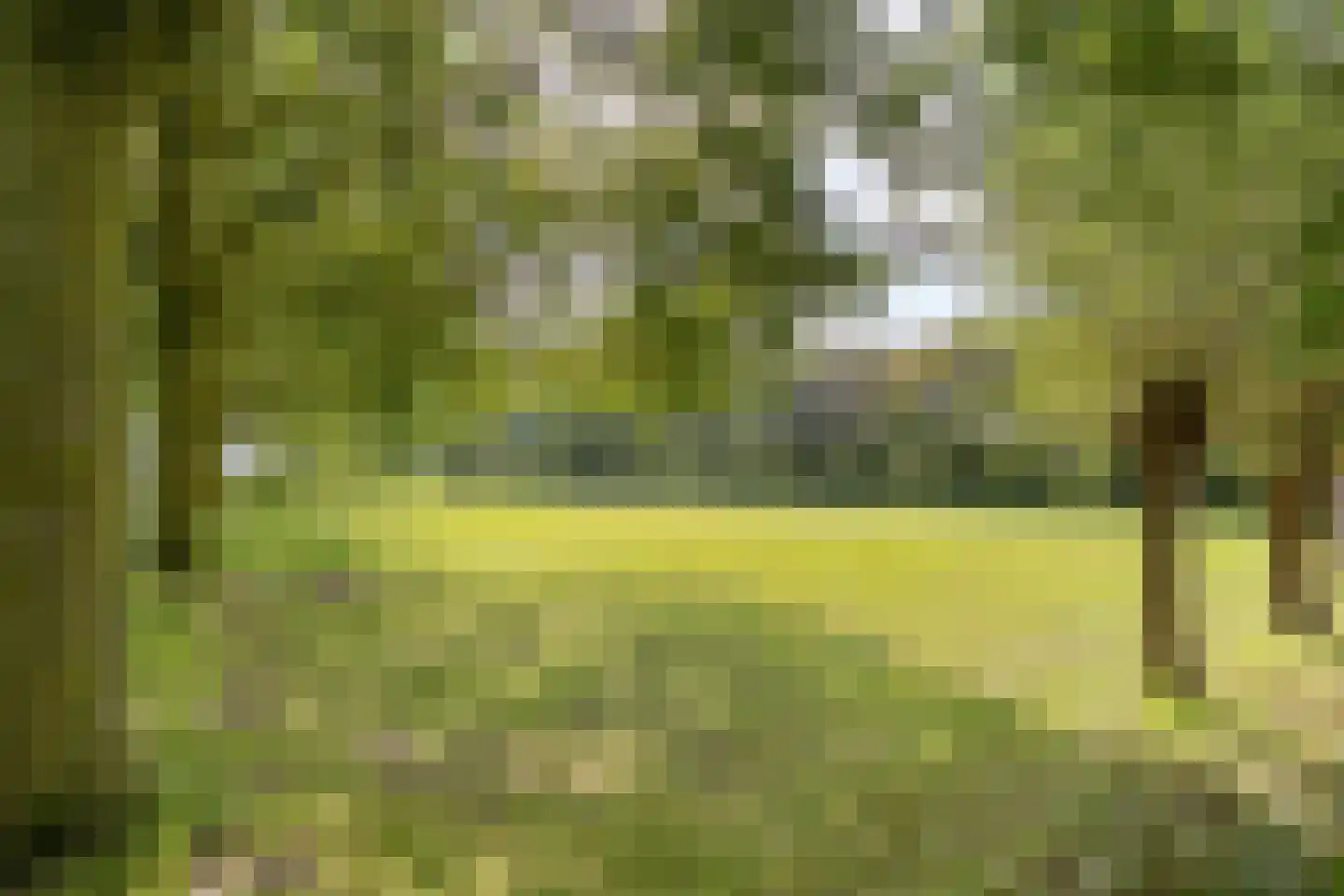 Haarbroeksteeg 6 Harfsen thumbnail 4