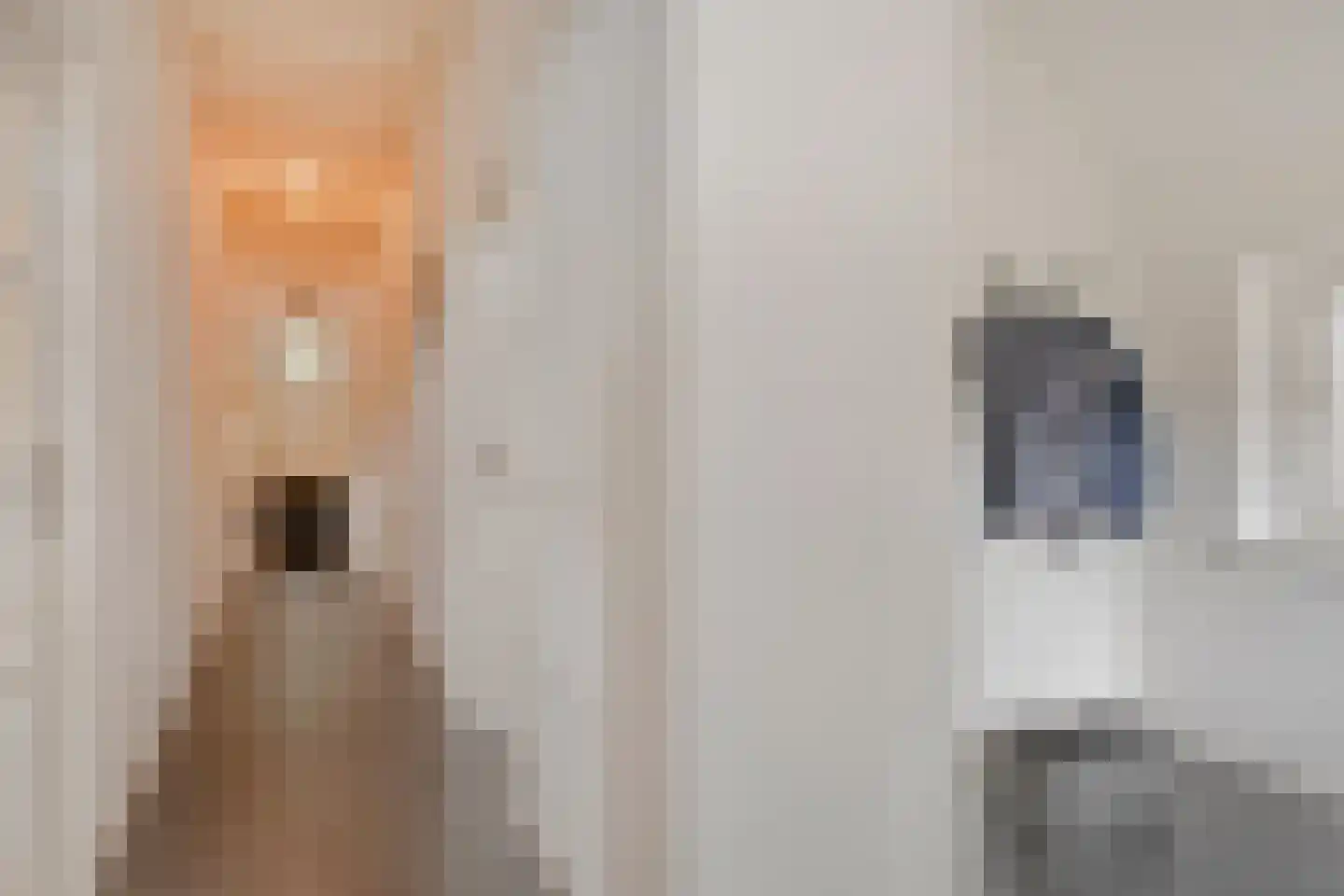Haarbroeksteeg 6 Harfsen thumbnail 40