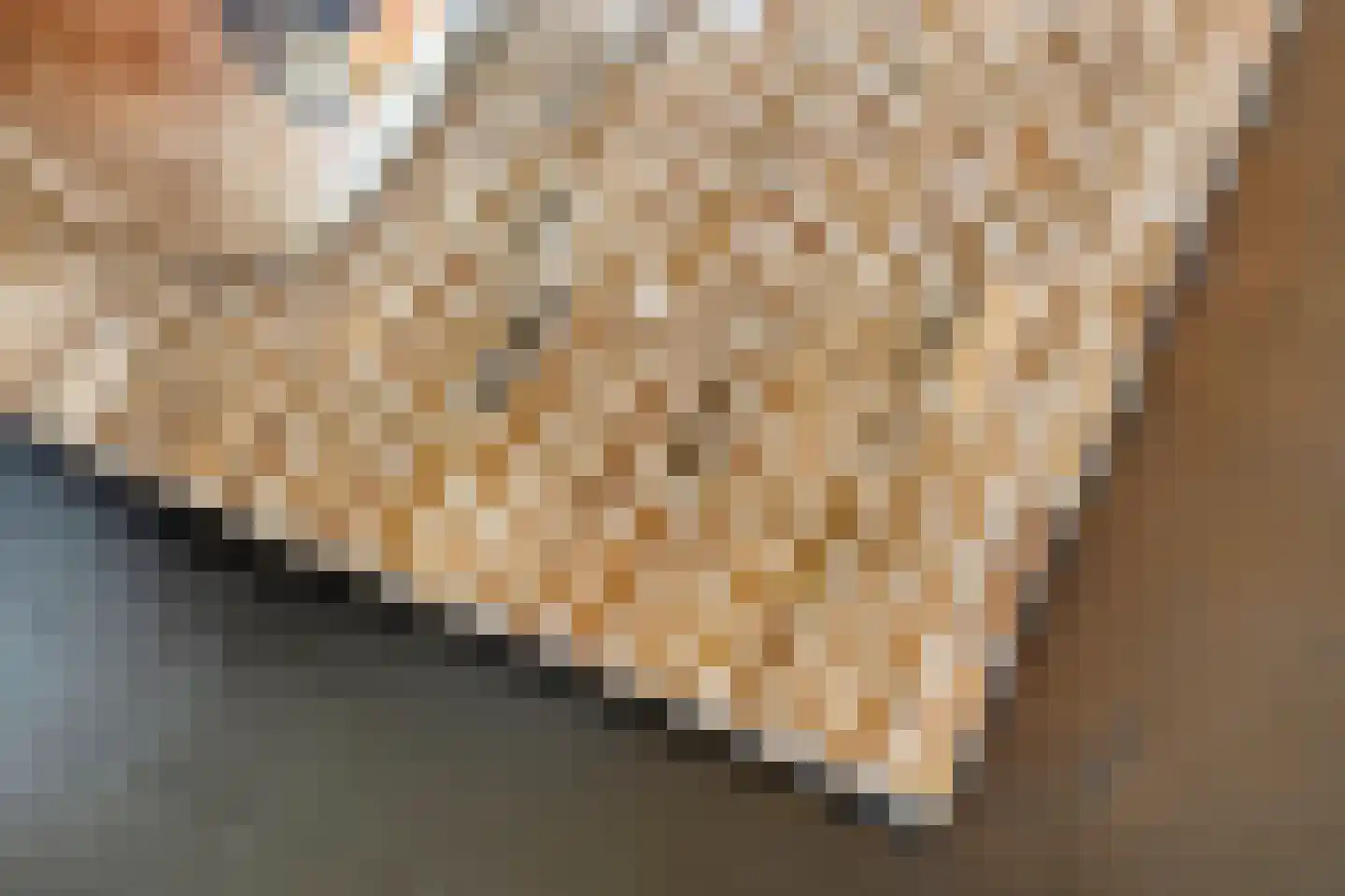 Haarbroeksteeg 6 Harfsen thumbnail 42