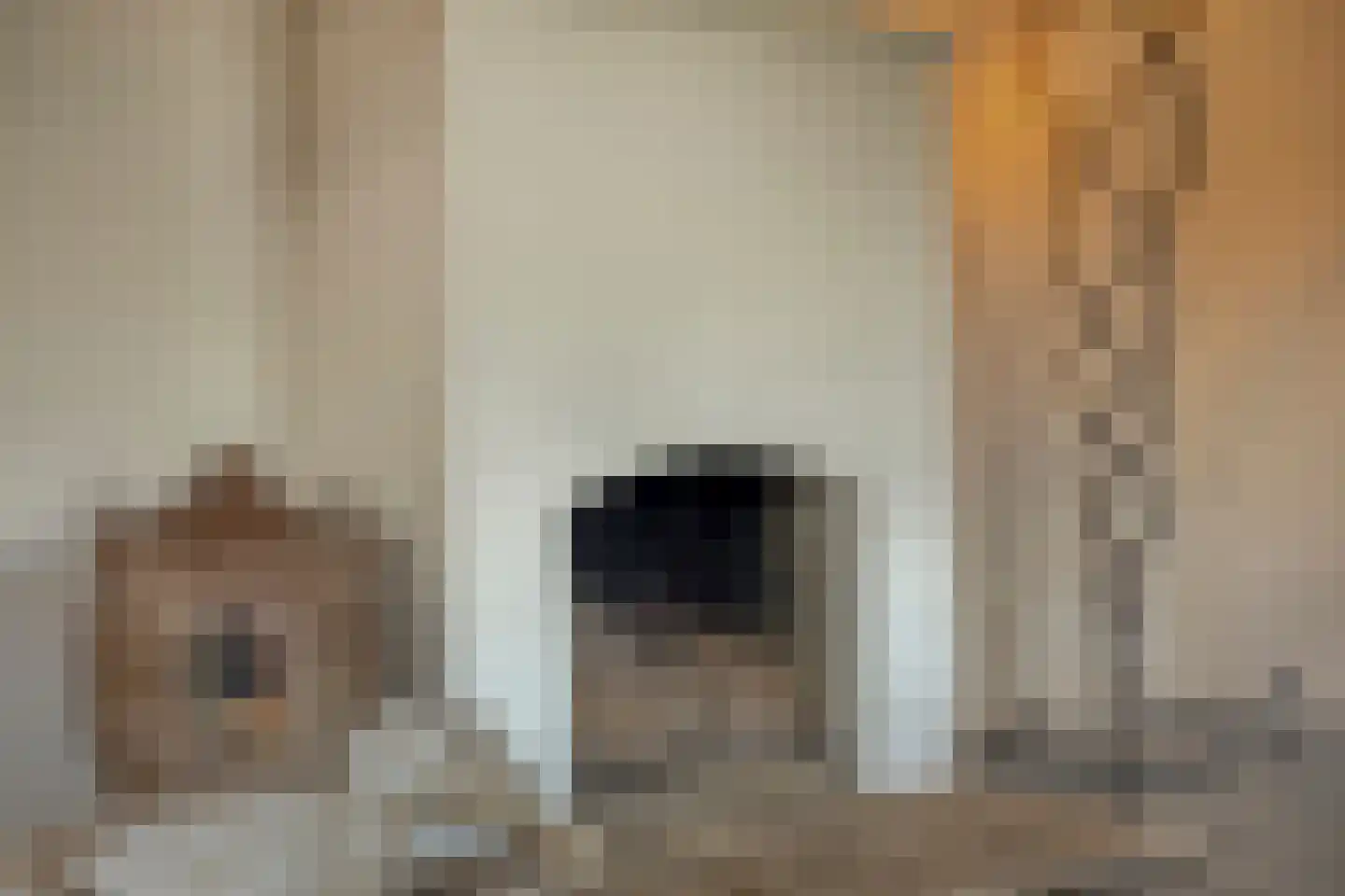 Haarbroeksteeg 6 Harfsen thumbnail 43