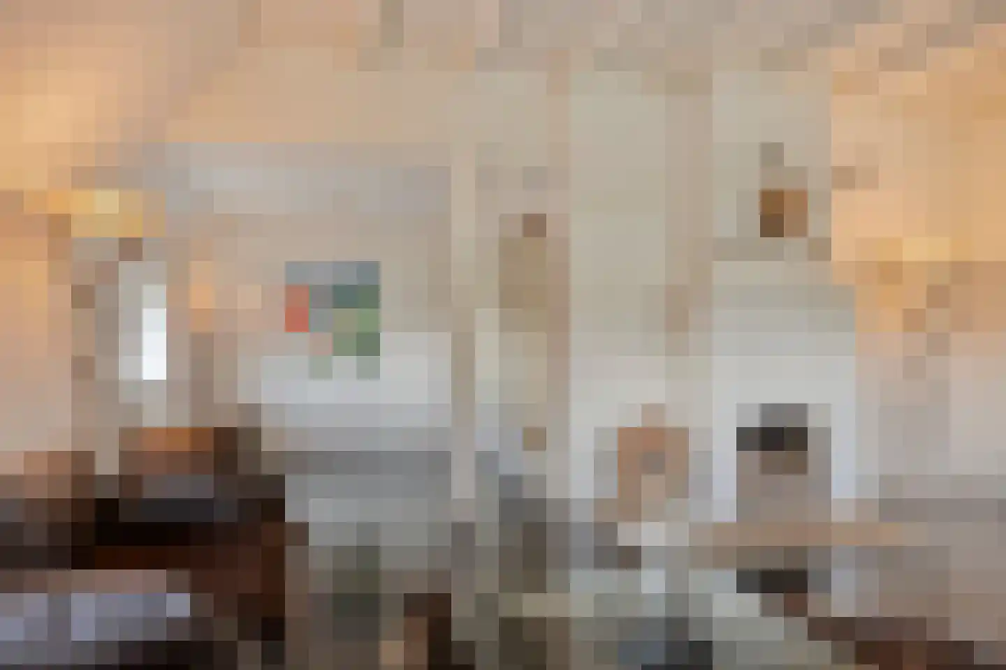 Haarbroeksteeg 6 Harfsen thumbnail 44
