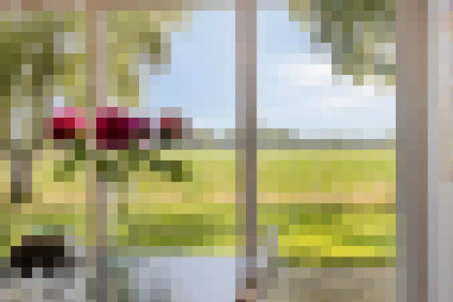 Haarbroeksteeg 6 Harfsen thumbnail 45