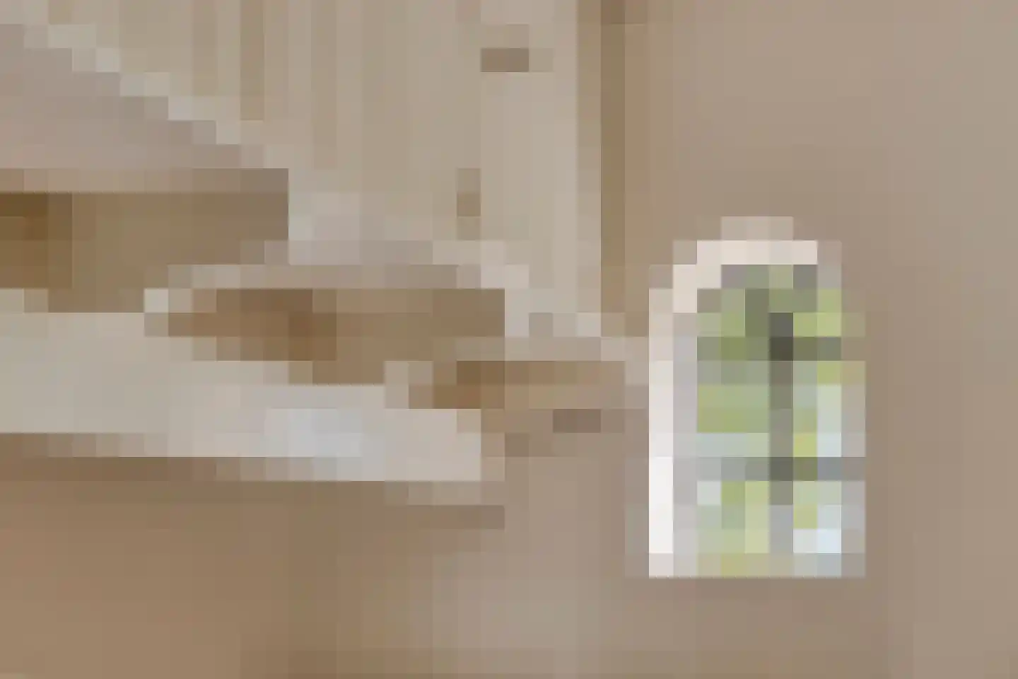 Haarbroeksteeg 6 Harfsen thumbnail 46