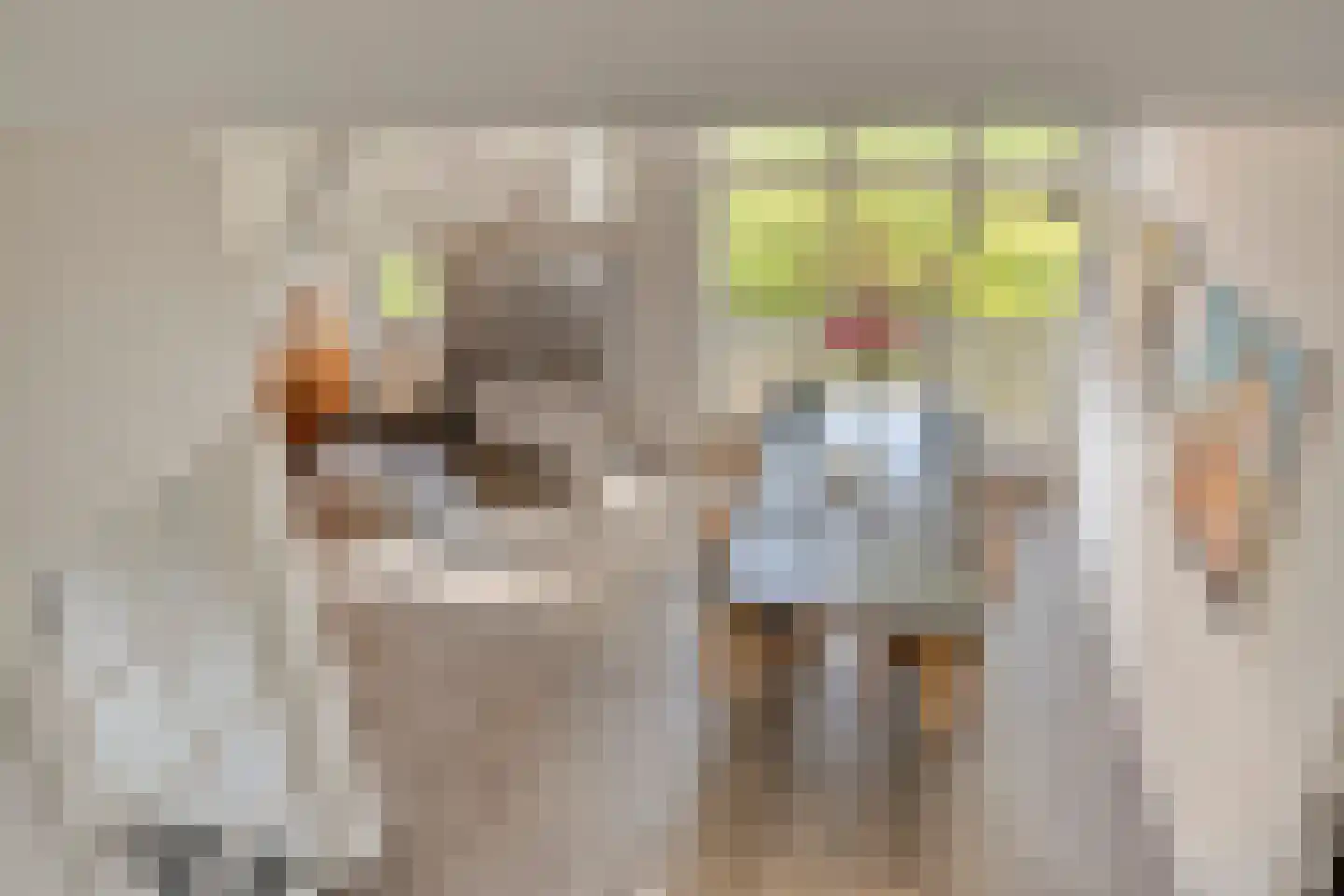 Haarbroeksteeg 6 Harfsen thumbnail 47