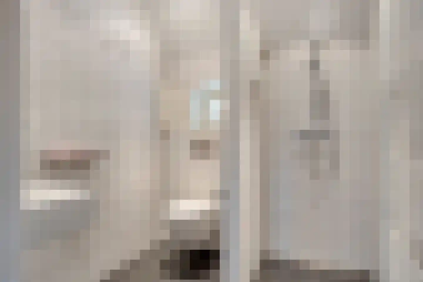 Haarbroeksteeg 6 Harfsen thumbnail 49