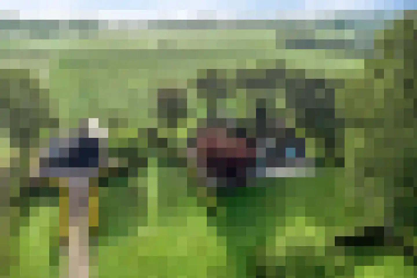 Haarbroeksteeg 6 Harfsen thumbnail 5