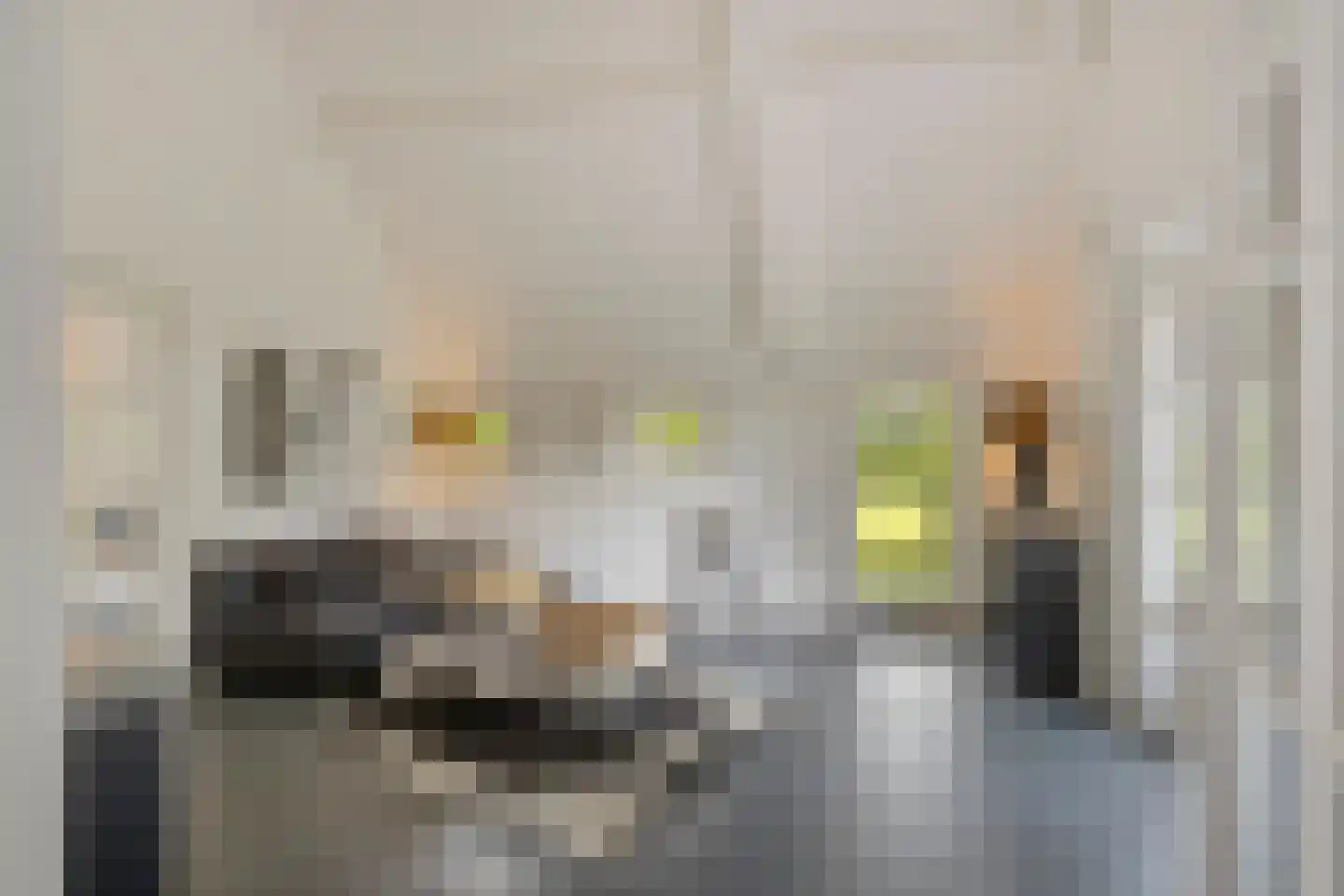 Haarbroeksteeg 6 Harfsen thumbnail 51