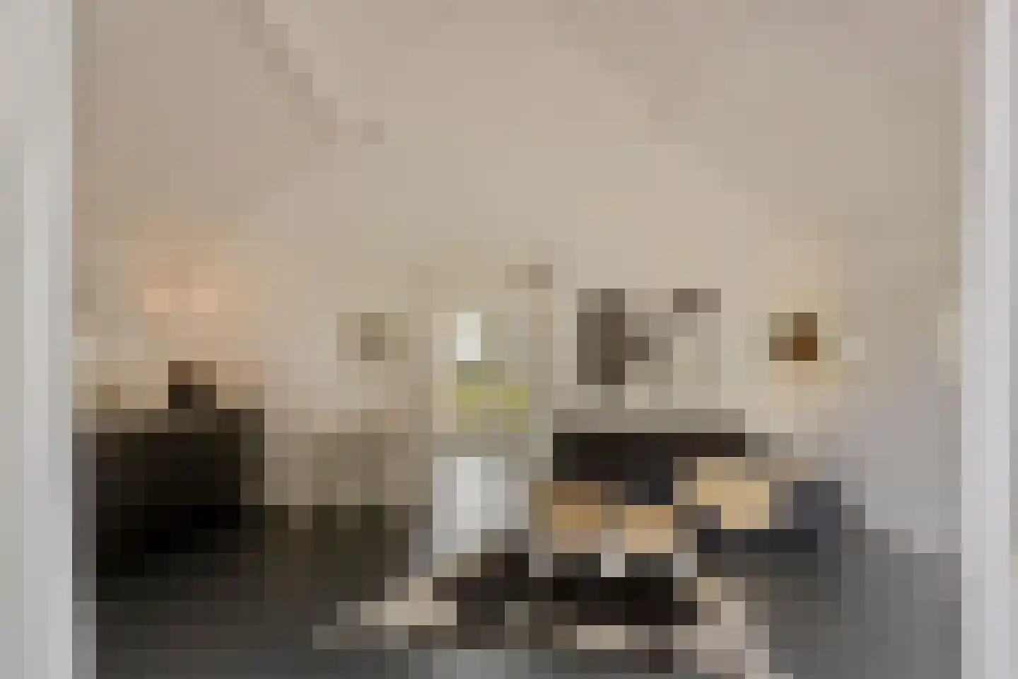 Haarbroeksteeg 6 Harfsen thumbnail 53