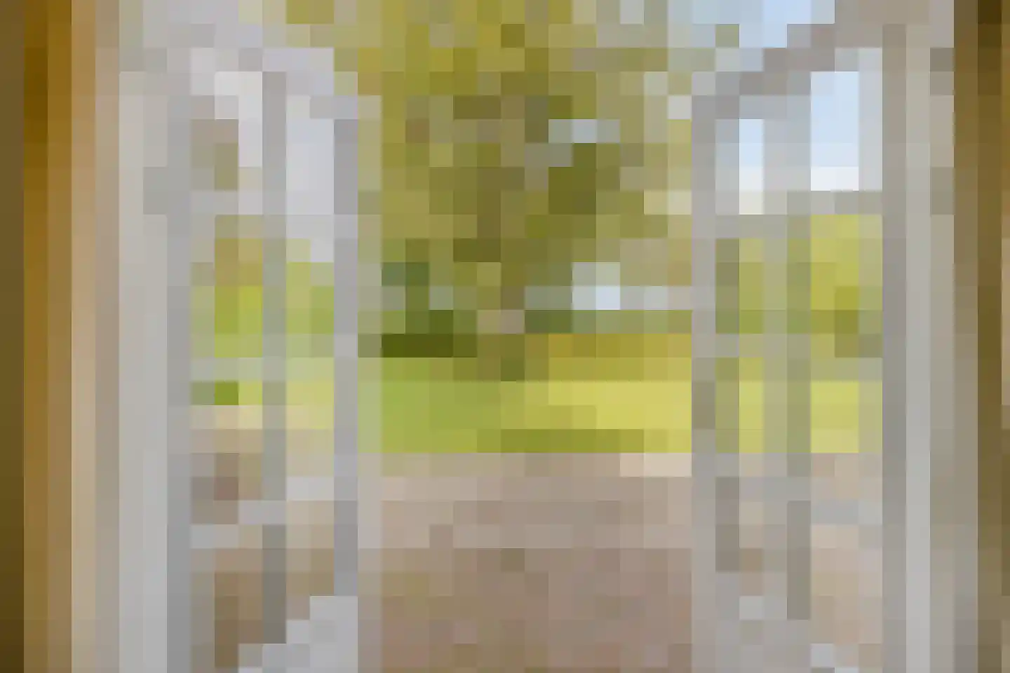 Haarbroeksteeg 6 Harfsen thumbnail 54