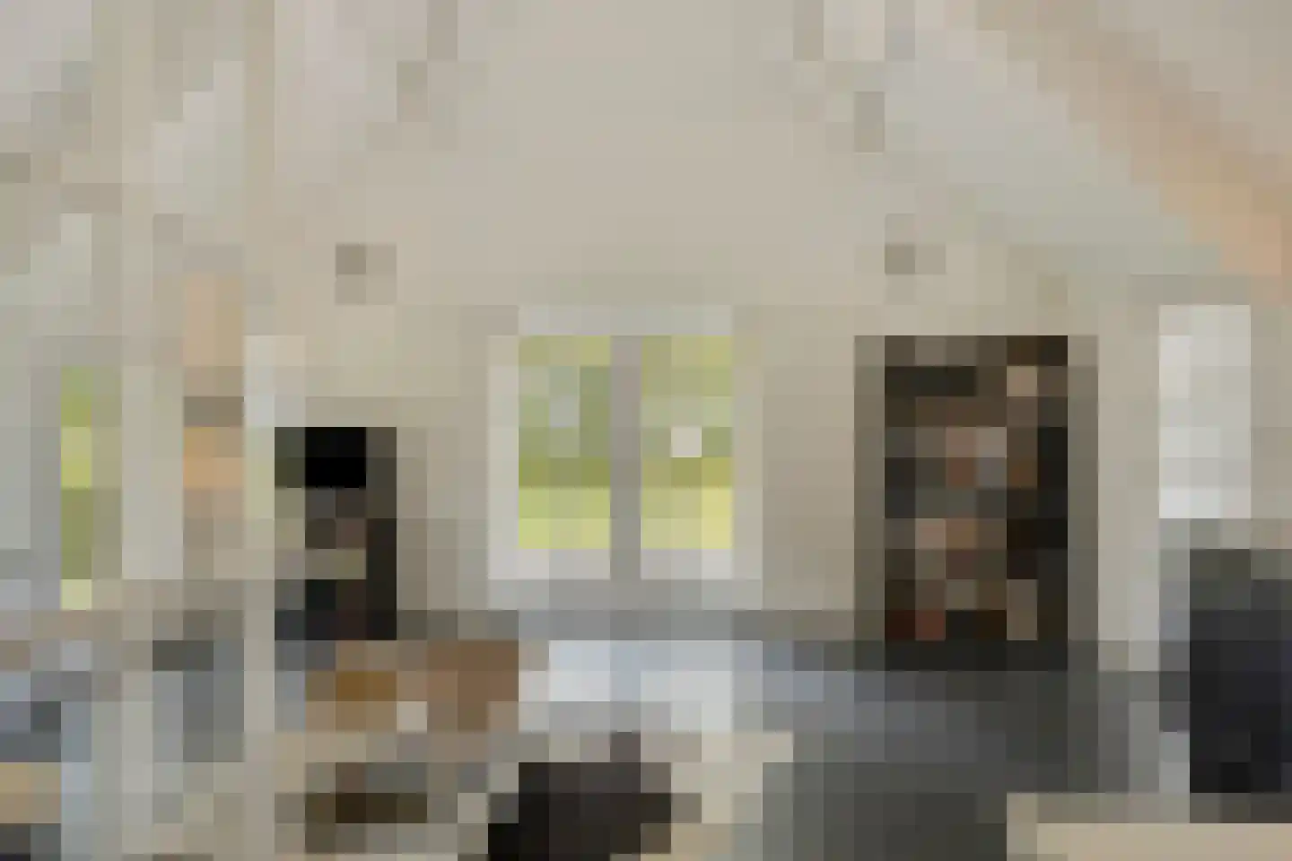 Haarbroeksteeg 6 Harfsen thumbnail 55