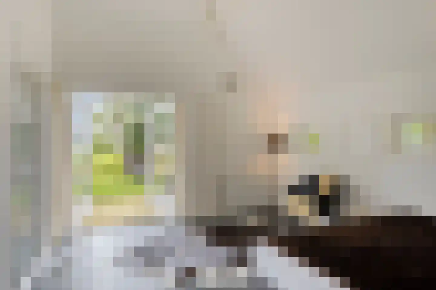 Haarbroeksteeg 6 Harfsen thumbnail 57