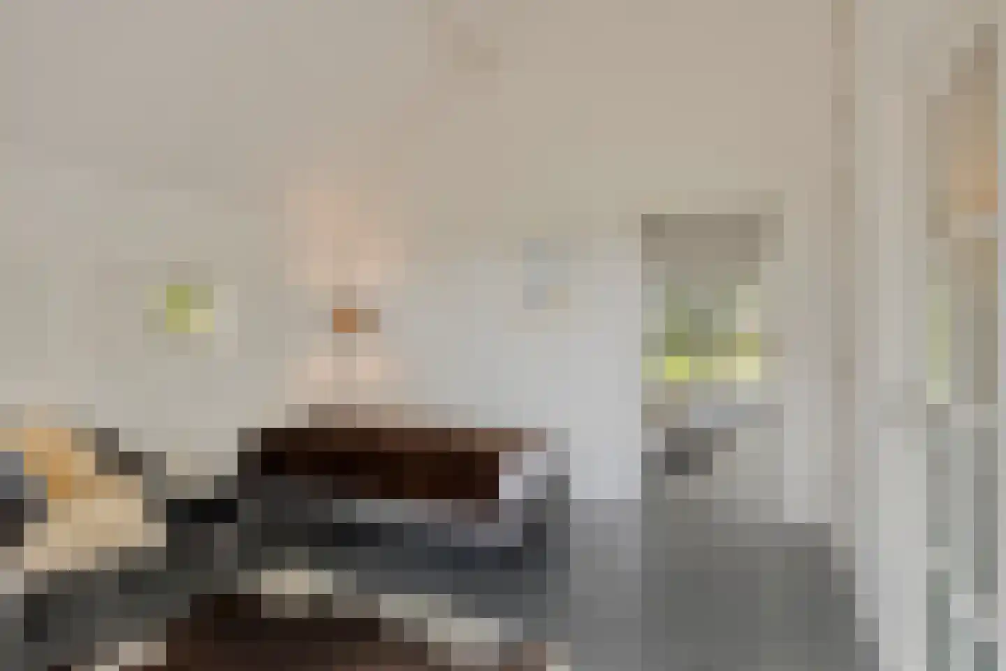 Haarbroeksteeg 6 Harfsen thumbnail 58