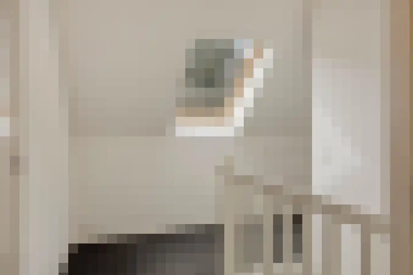 Haarbroeksteeg 6 Harfsen thumbnail 63