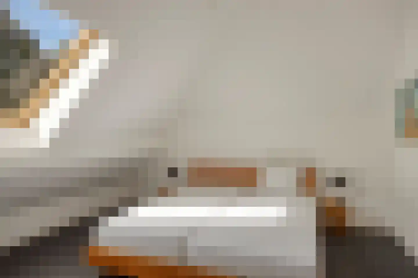 Haarbroeksteeg 6 Harfsen thumbnail 64