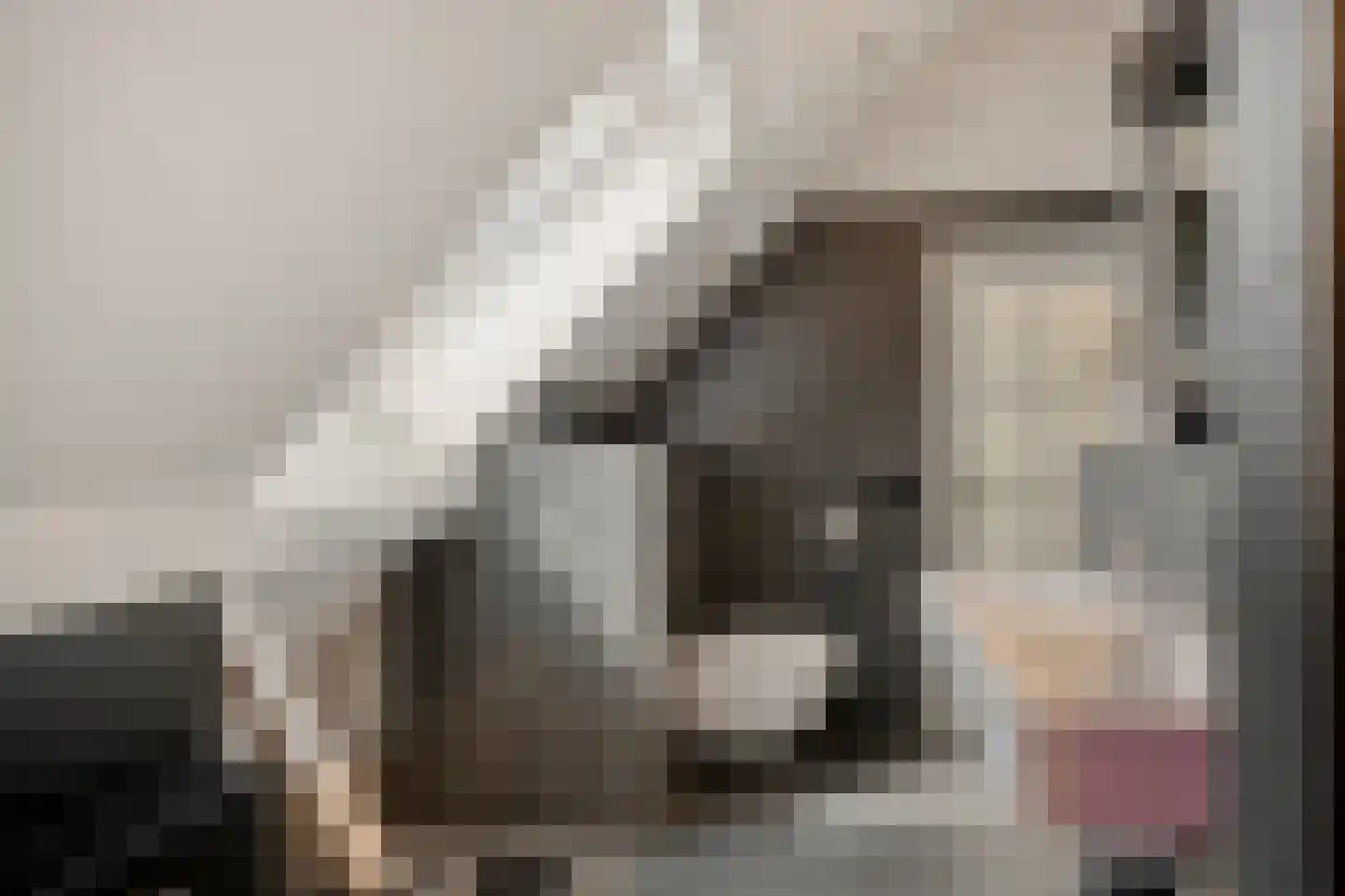 Haarbroeksteeg 6 Harfsen thumbnail 68